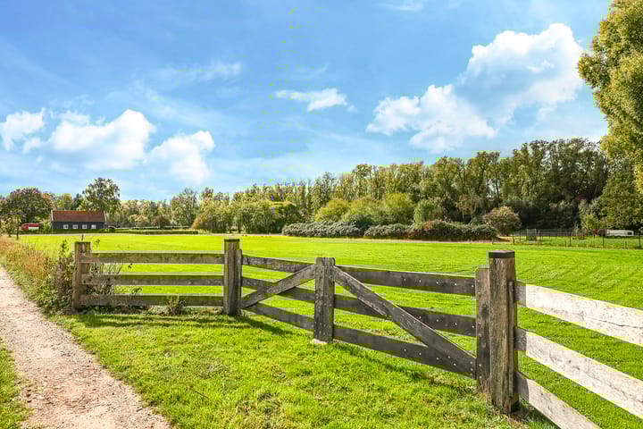 Foto 90 van Drielse Rijndijk 3