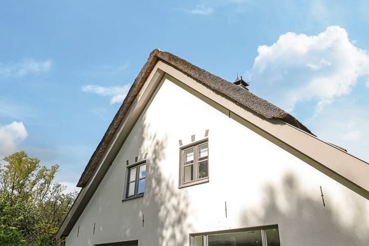 Foto 111 van Drielse Rijndijk 3