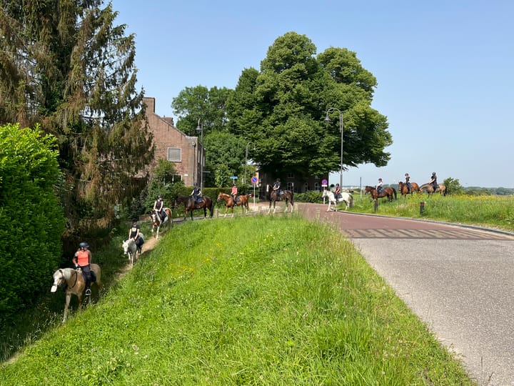 Foto 135 van Drielse Rijndijk 3