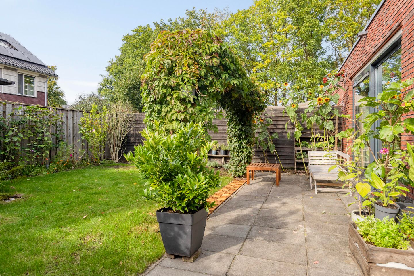 Photo 25 of Eeuwelseloop 11