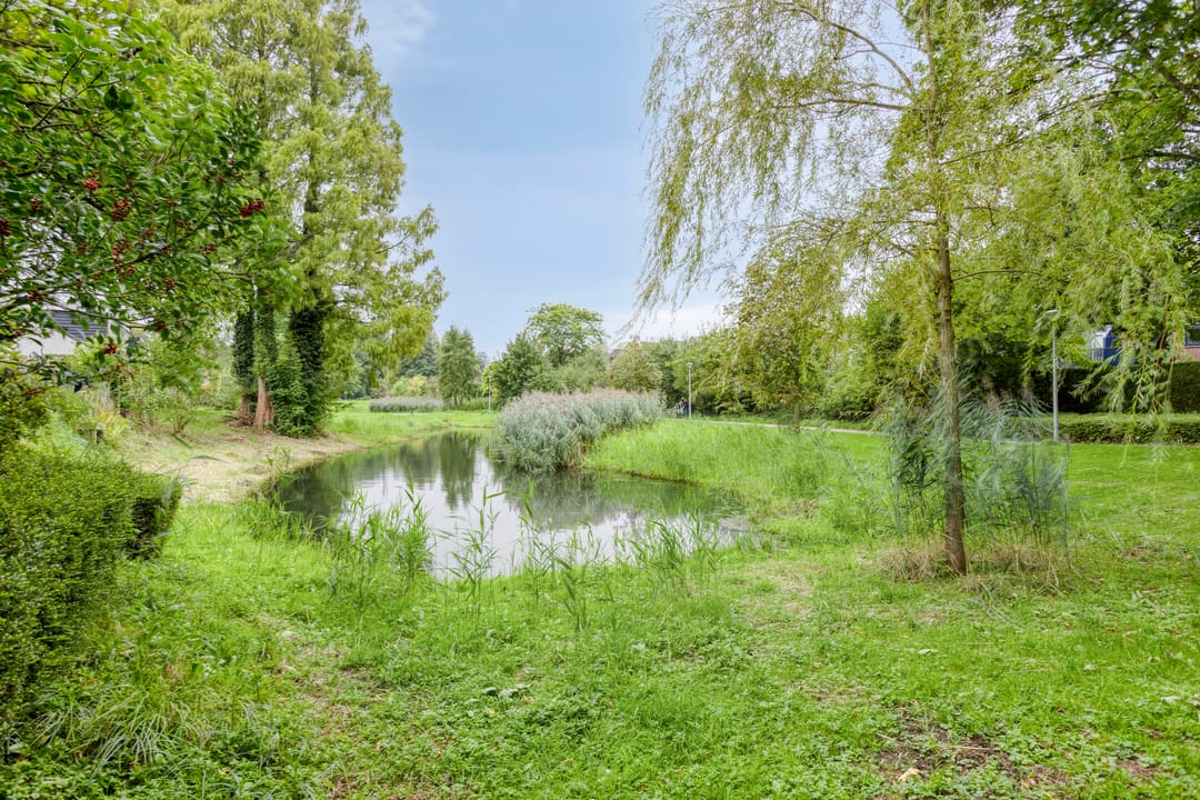 Foto 37 van Holthuizerdreef 29