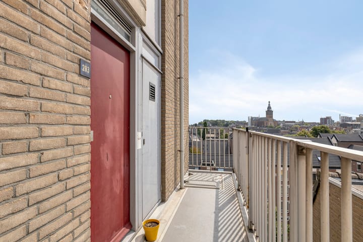 Foto 33 van Veemarkt 293