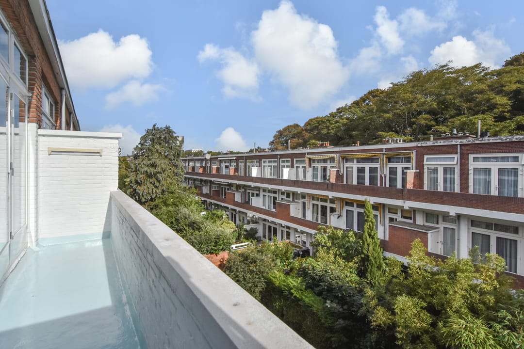 Foto 37 van Van Alkemadelaan 173