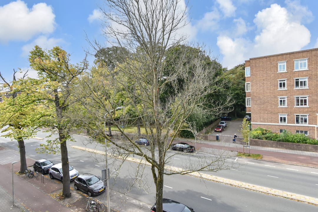 Foto 38 van Van Alkemadelaan 173