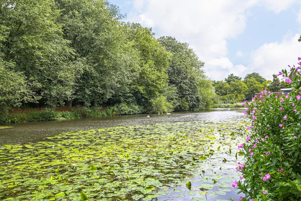 Photo 15 of Groetstraat 189