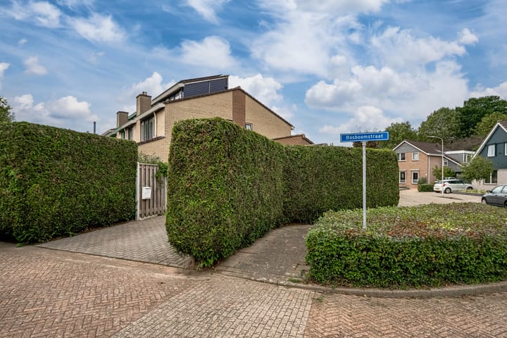 Foto 62 van Bosboomstraat 2