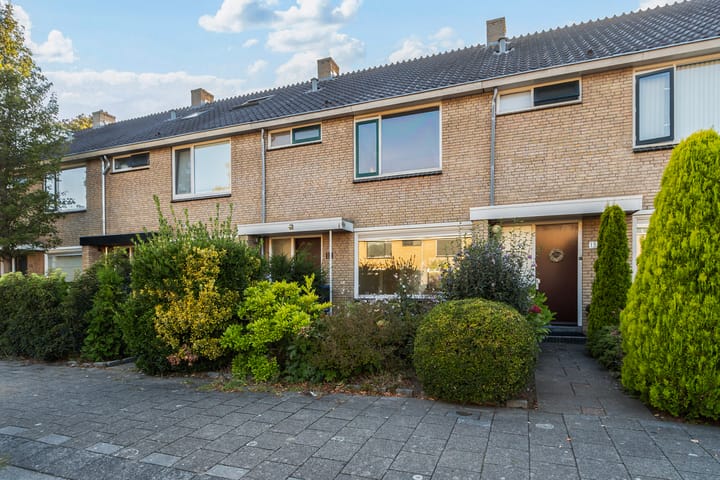 Foto 1 van Kameleonring 15