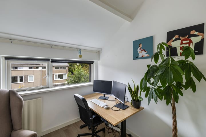 Foto 24 van Klaproos 4