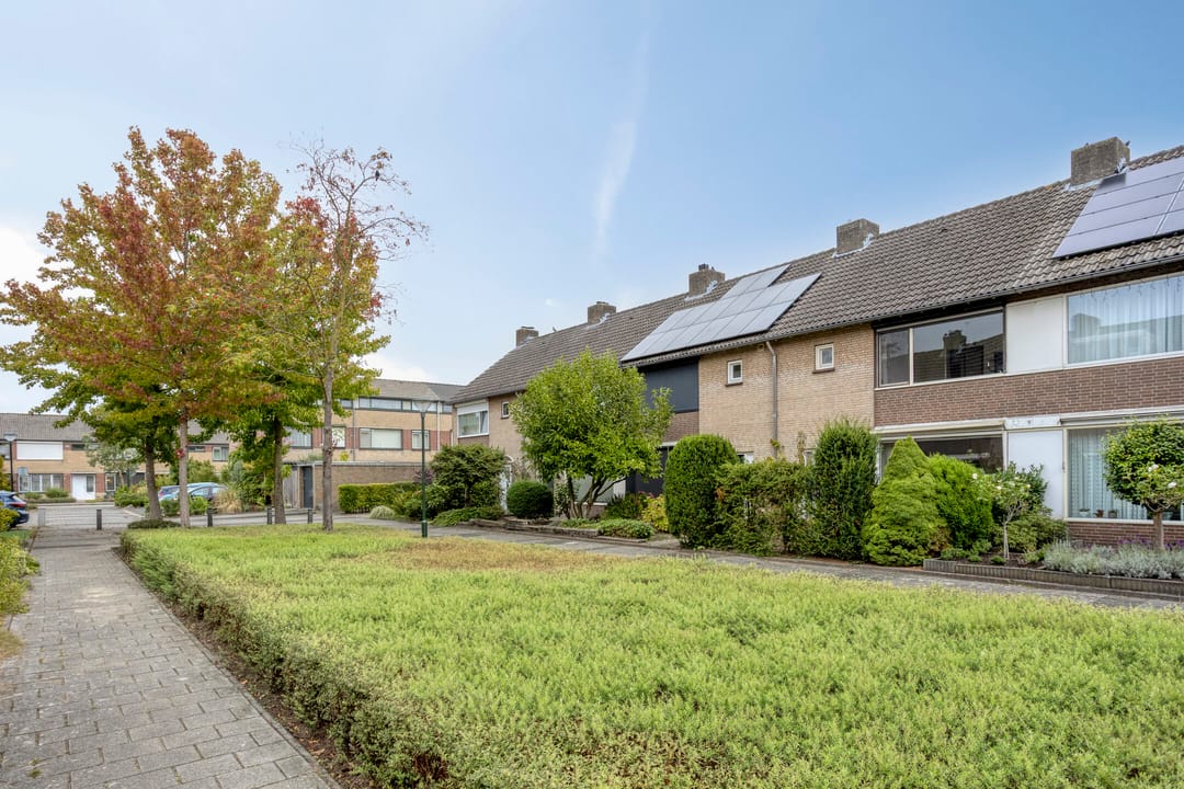 Foto 7 van Geelgorshof 7