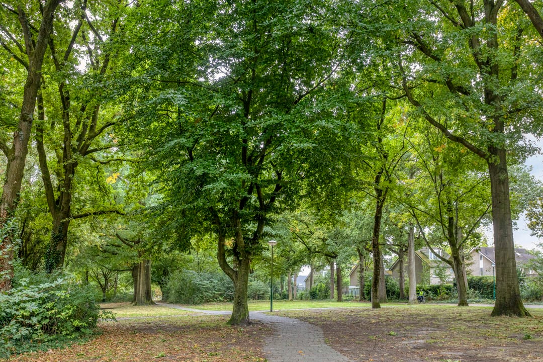 Foto 37 van Geelgorshof 7