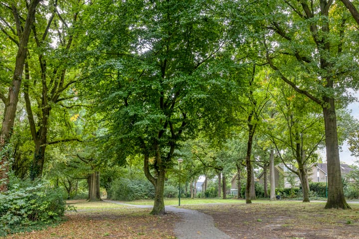 Foto 39 van Geelgorshof 7