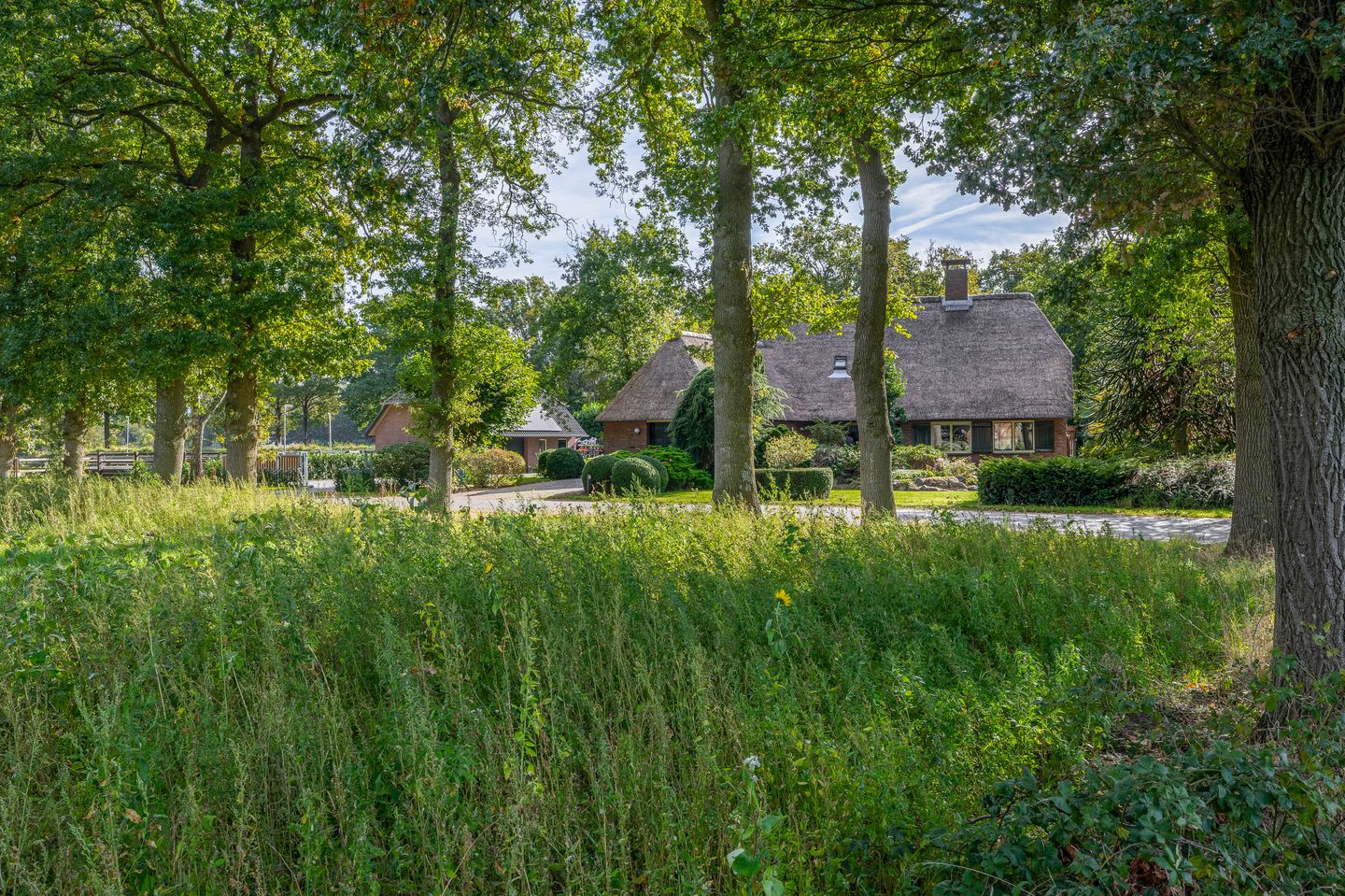 Foto 5 van Achterkampweg 16