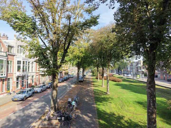 Foto 74 van Van Boetzelaerlaan 20