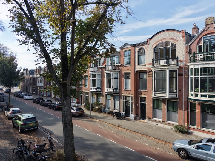 Foto 75 van Van Boetzelaerlaan 20