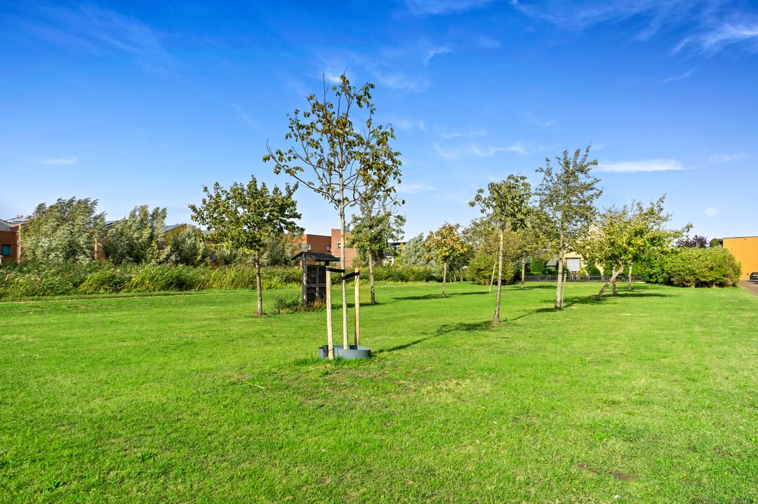 Foto 41 van Hoflandendreef 54