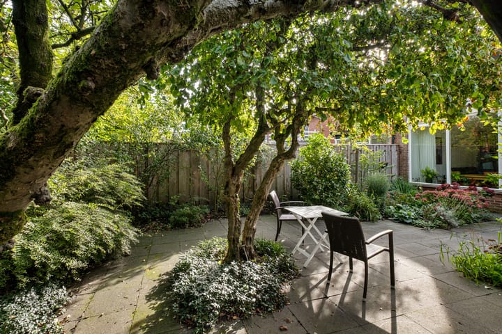 Foto 52 van Van Alphenstraat 5