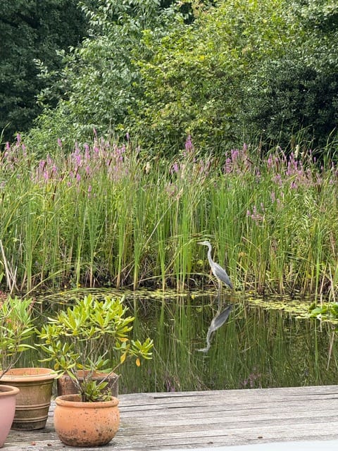 Photo 81 of Hatertseweg 9