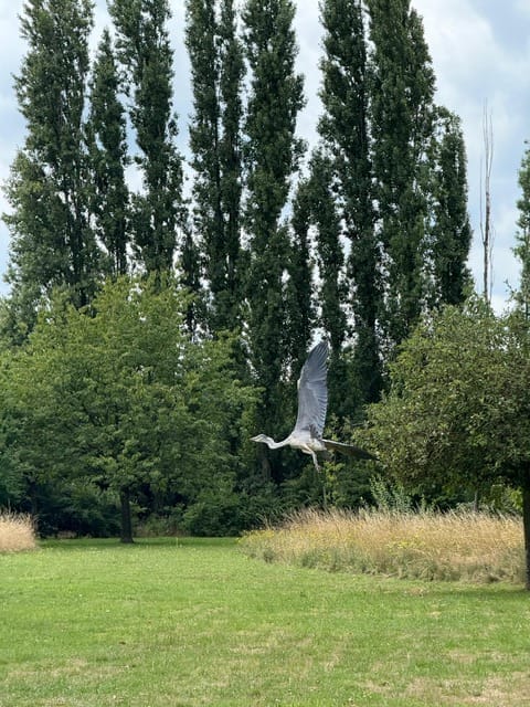 Photo 82 of Hatertseweg 9