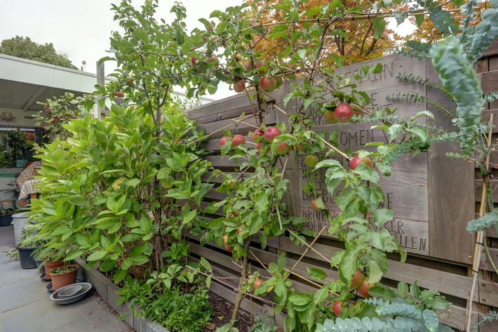 Foto 42 van Talmastraat 14