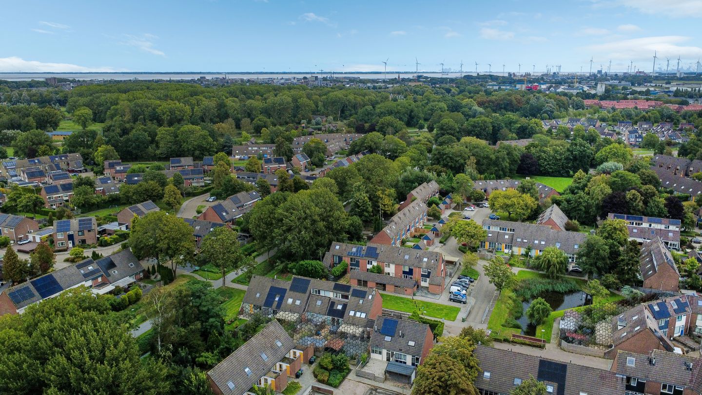 Photo 34 of Zaaibak 40