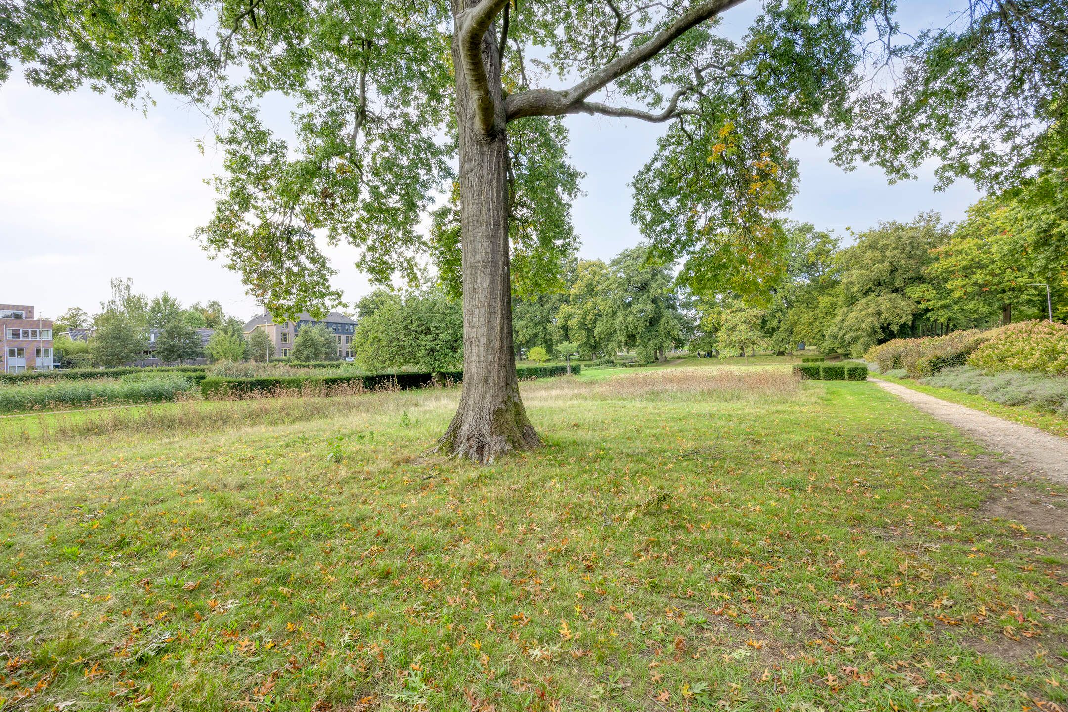 Foto 39 van Rosendaalseweg 520-A