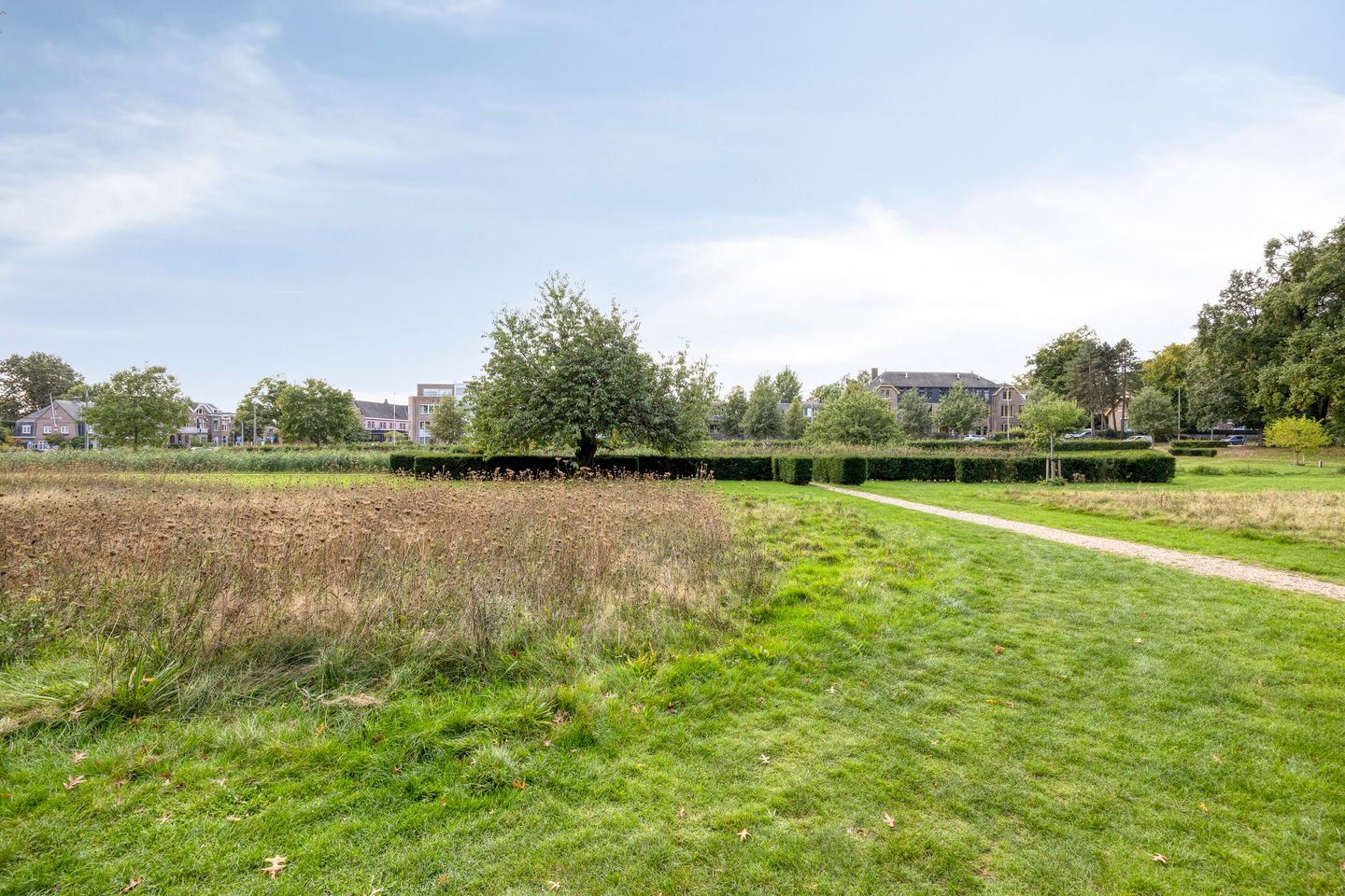 Foto 40 van Rosendaalseweg 520-A