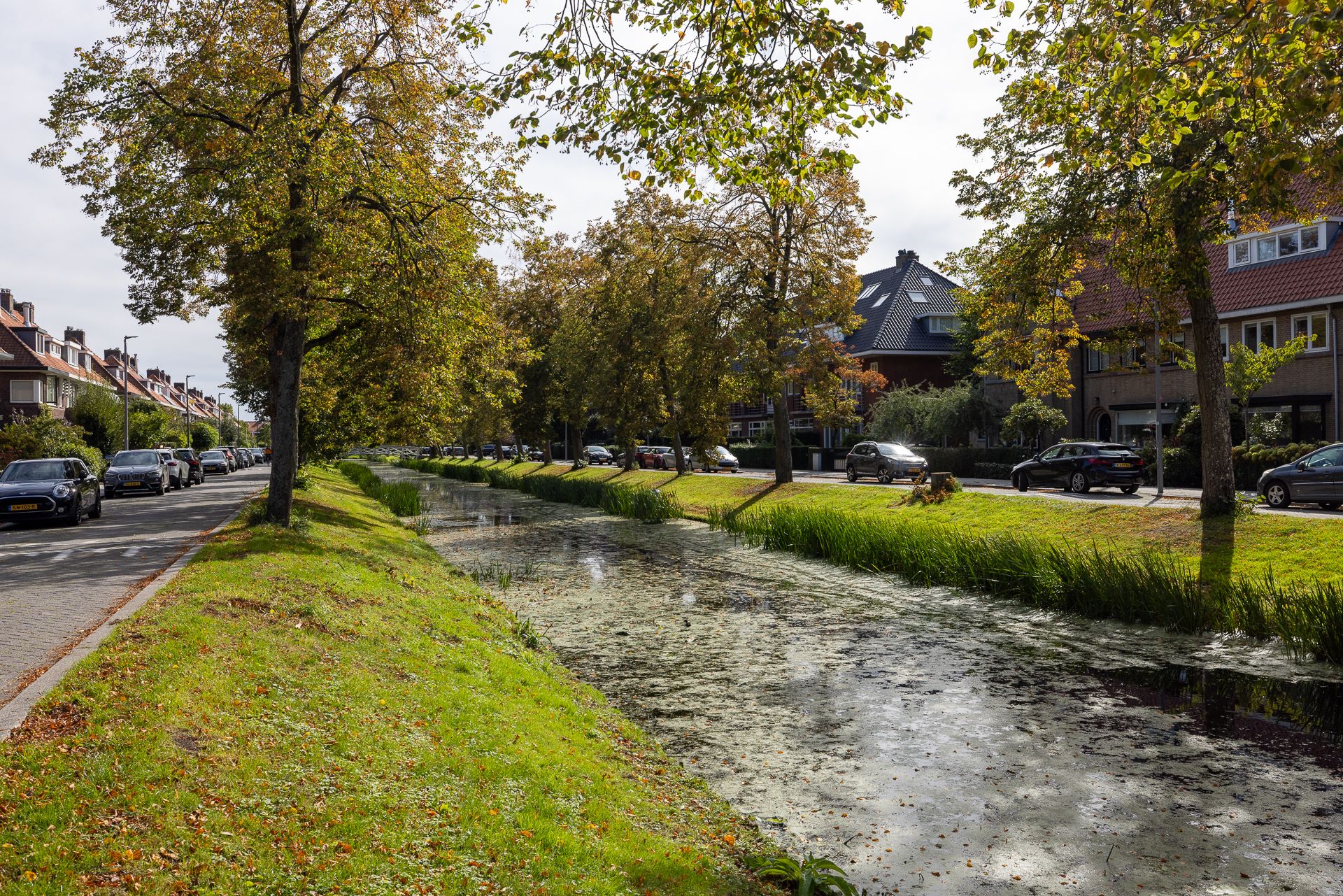 Foto 57 van Breitnersingel 15