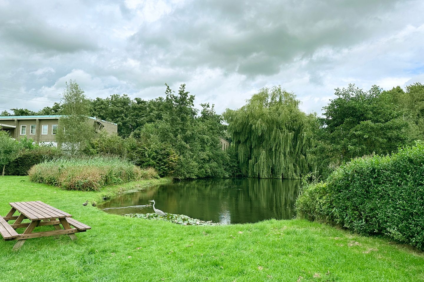 Foto 49 van Frans Halsstraat 80