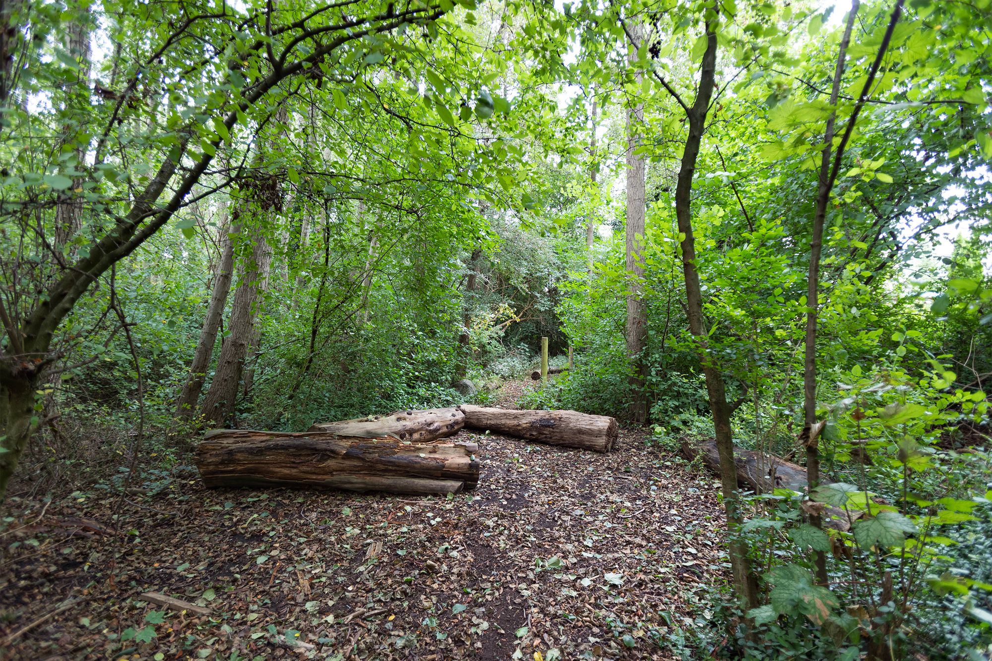 Foto 51 van Frans Halsstraat 80