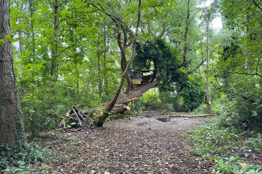 Foto 52 van Frans Halsstraat 80