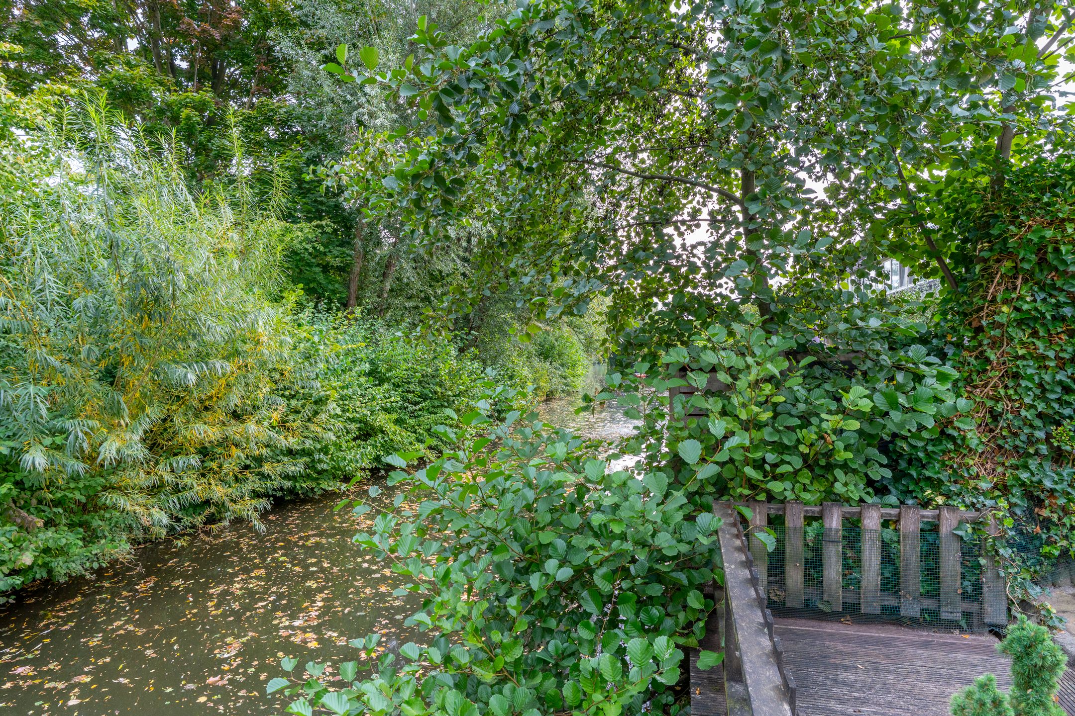 Photo 30 of Bloemstede 375