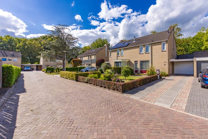 Foto 3 van Mezenhof 26