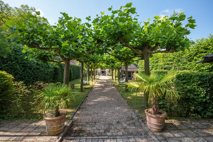 Photo 24 of Burgemeester van den Boschstraat 41