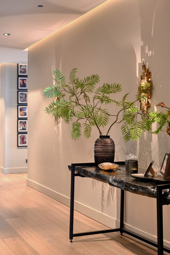 Foto 31 van Kaapstander 278