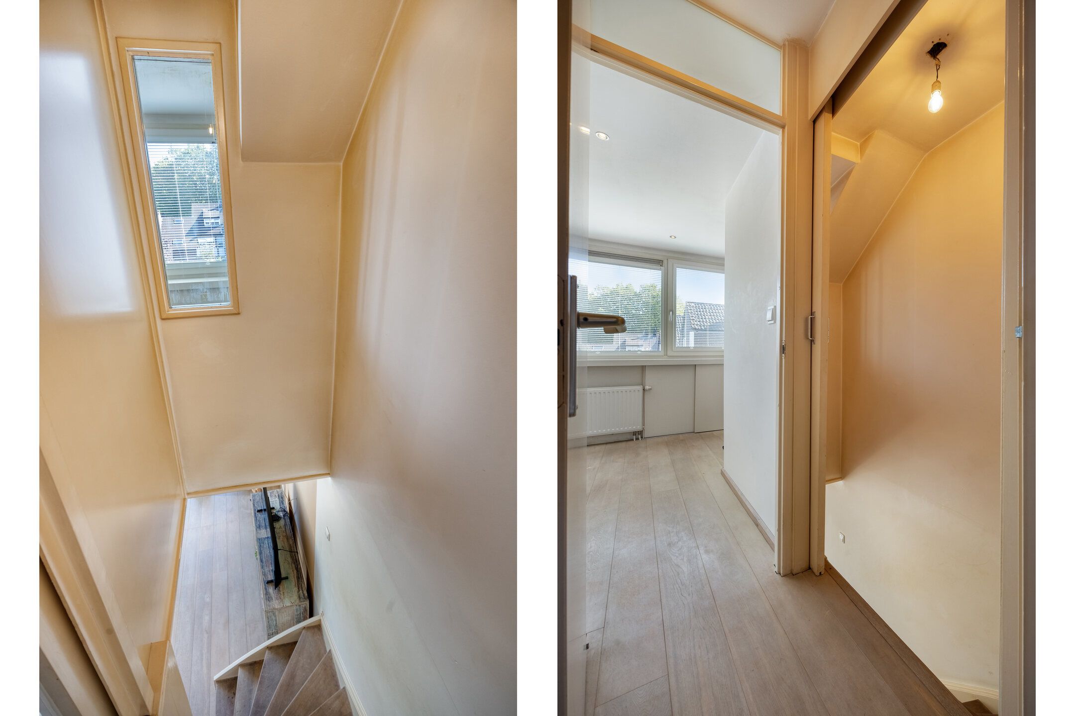 Foto 18 van Pijlkruidvaart 64