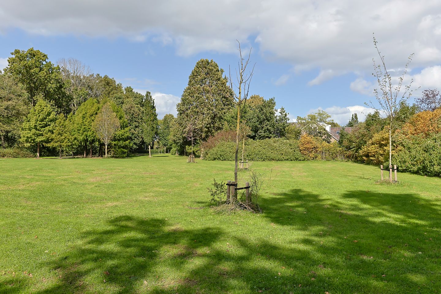 Foto 49 van Lupinesingel 75