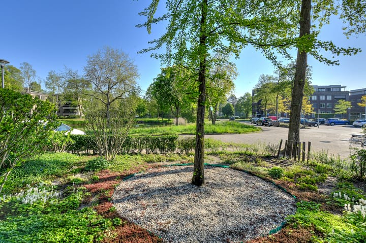 Foto 39 van Lange Voren 24