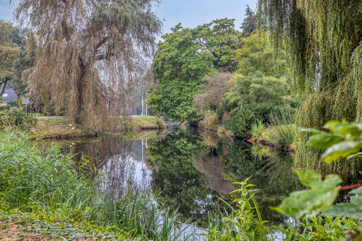 Foto 44 van Prinses Irenestraat 20