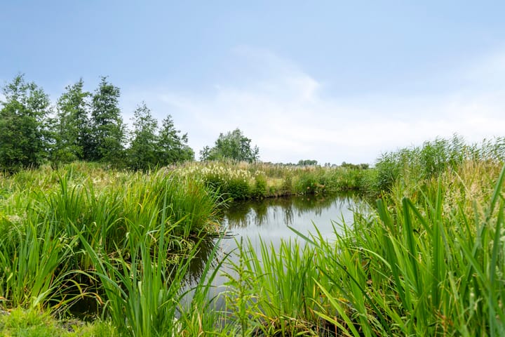 Foto 43 van Vlinderplein 20