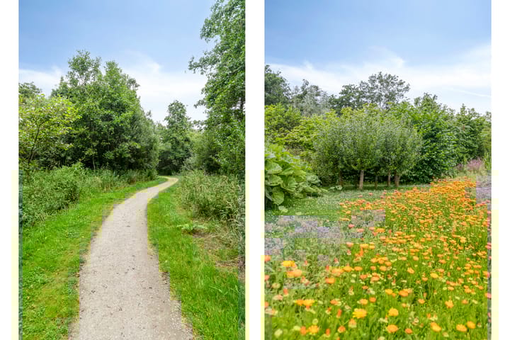 Foto 44 van Vlinderplein 20