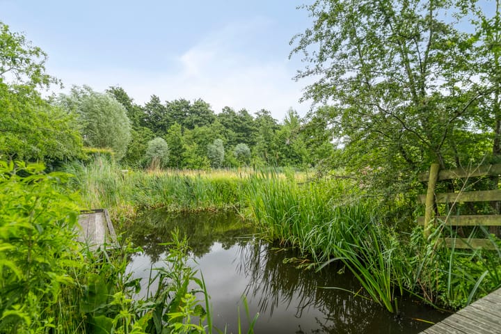 Foto 46 van Vlinderplein 20