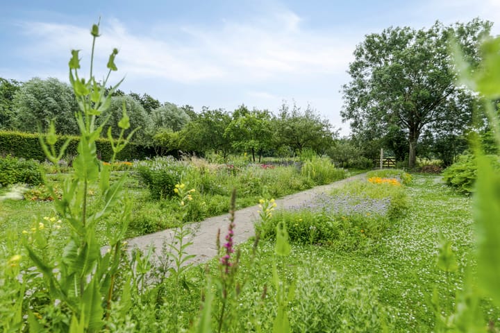 Foto 47 van Vlinderplein 20