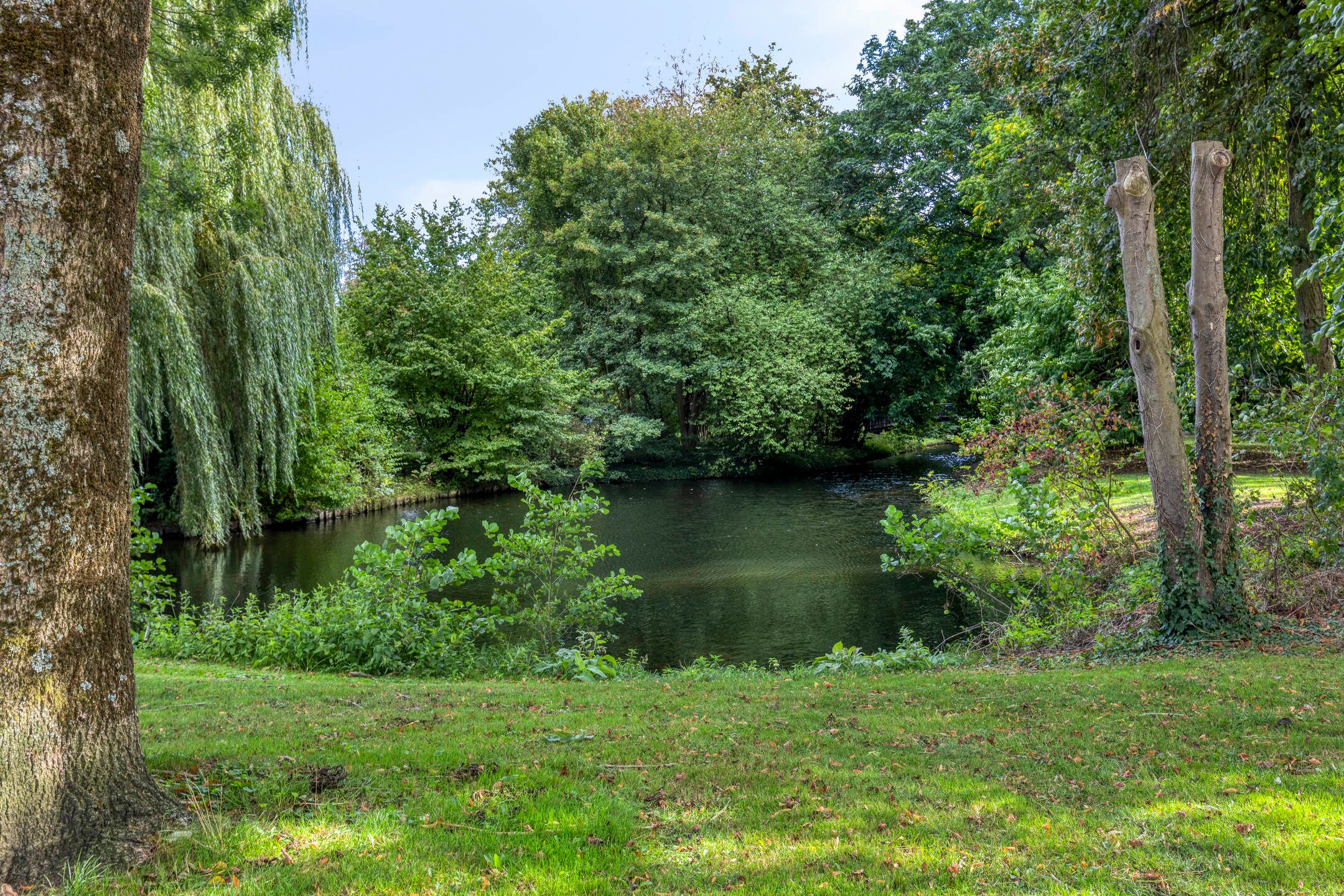 Foto 45 van Gebroken Meeldijk 118