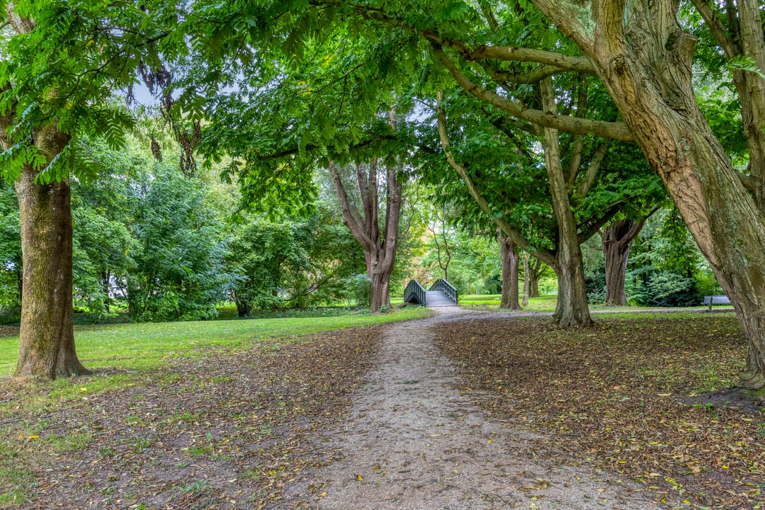 Foto 46 van Gebroken Meeldijk 118