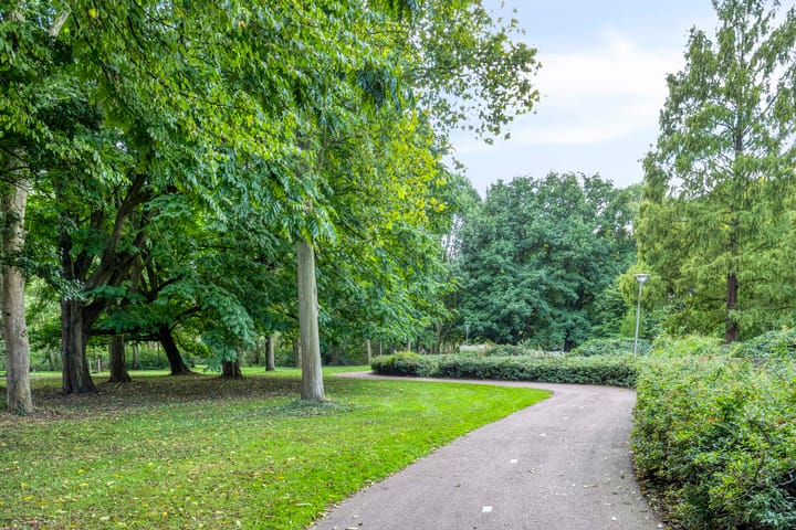 Foto 47 van Gebroken Meeldijk 118