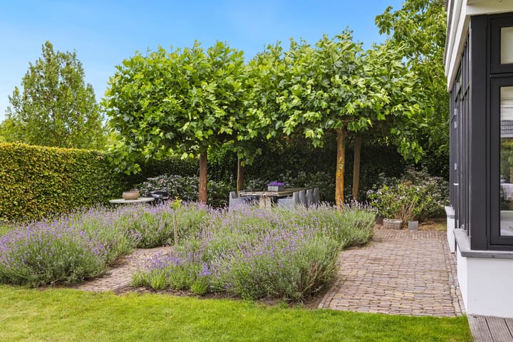 Foto 46 van Bavelse Leij 11