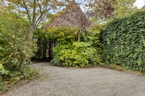 Wilhelminastraat 31 tertiary image