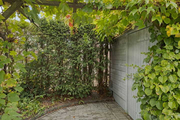 Foto 24 van Wilhelminastraat 31