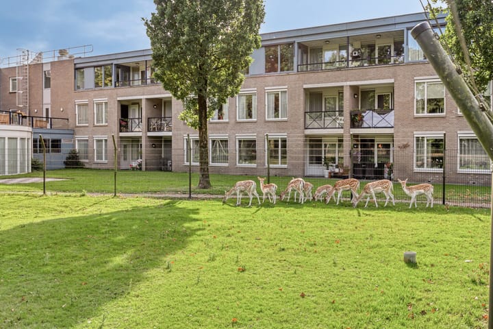 Foto 38 van Smidse 11