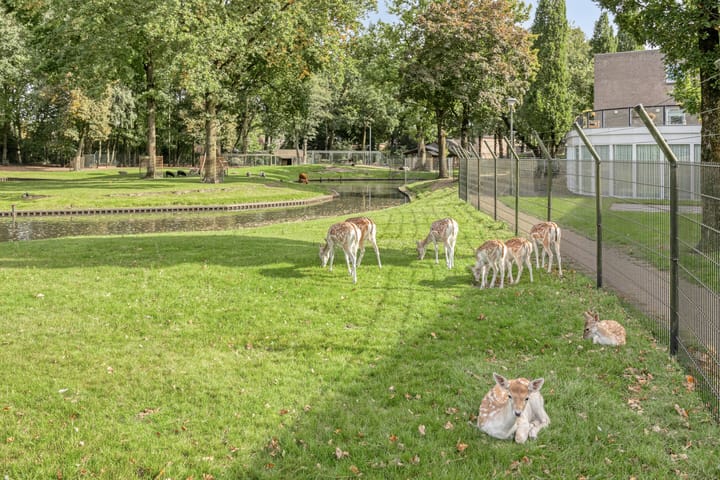 Foto 39 van Smidse 11